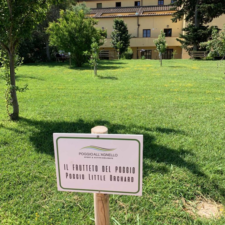 frutteto-poggio-1