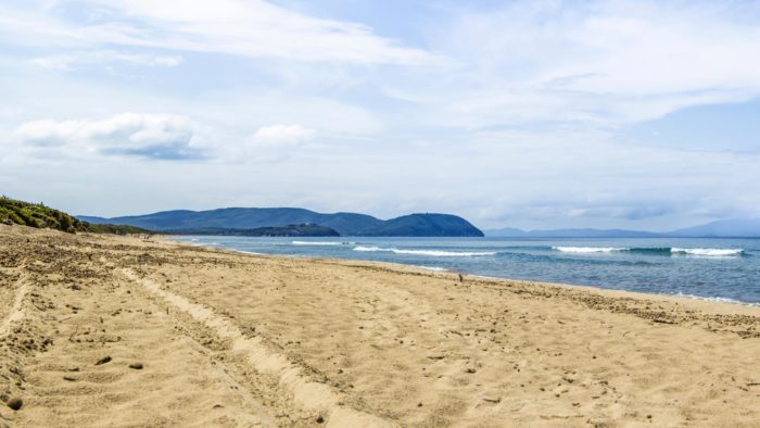 Poggio All’Agnello – Parco di Rimigliano Poggio All'Agnello - Castagneto Carducci