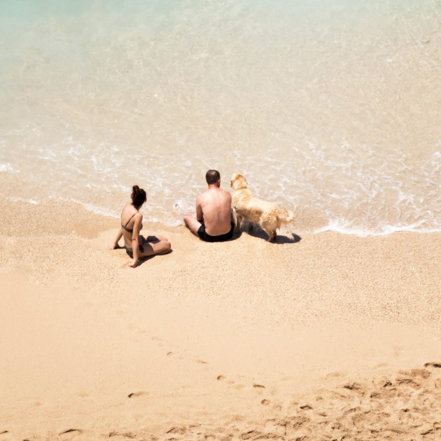 Resort e Villaggio Pet Friendly