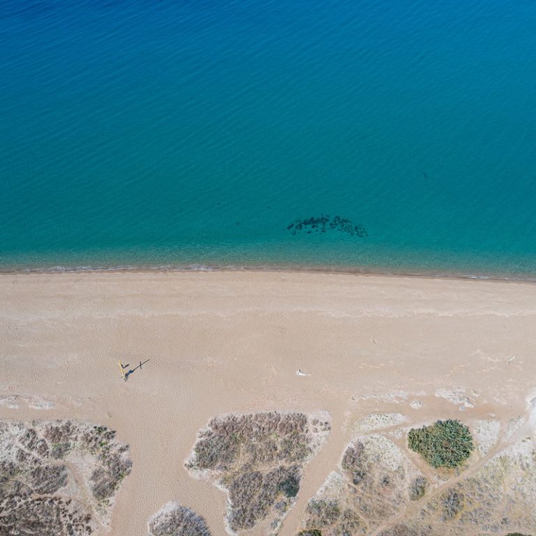 Parco della Sterpaia Parco della Sterpaia