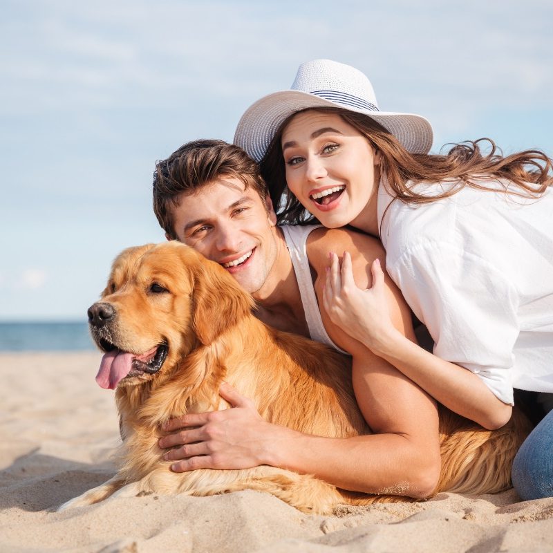 spiagge per cani in toscana